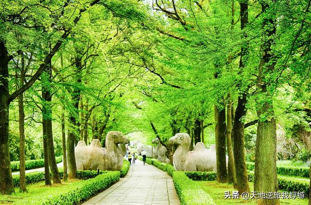 南京能带走的特产，南京特产有哪些可以带走的（南京旅游必玩的两个地方）