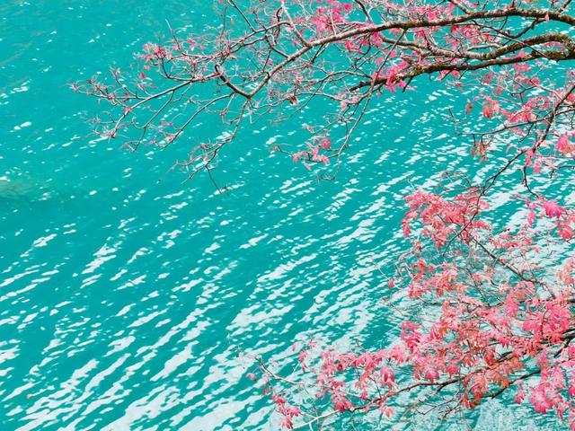 四川九寨沟简介，四川九寨沟介绍（四川九寨沟）