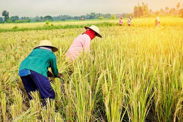 偏心的父母会有怎样的下场，偏心的父母最后都怎么样了