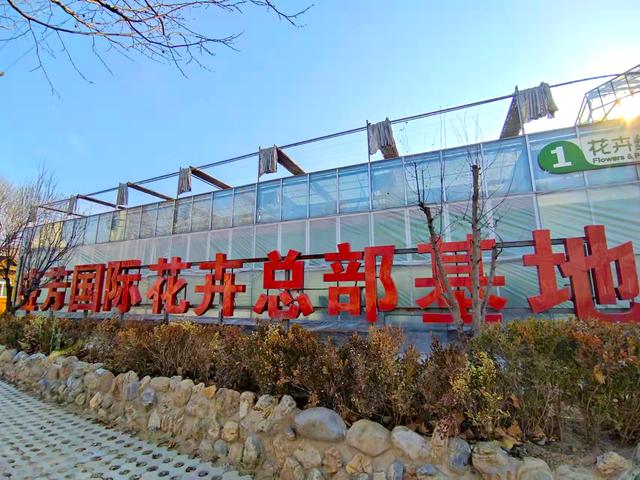 北京花卉批发市场，北京花卉批发市场什么时候开业（北京宝藏花卉市场）