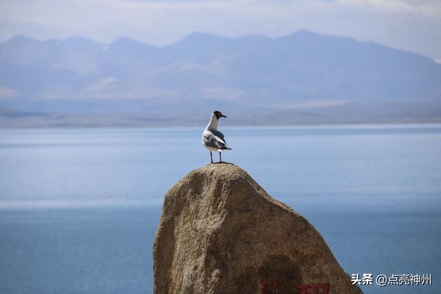 暑假带孩子去哪里旅游最好国内，暑假带孩子去哪里旅游最好山东省内（国内10大旅游\u0026避暑目的地）