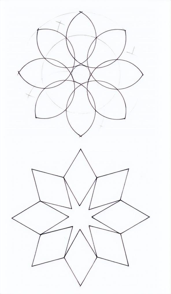 花朵的构造有哪些，花朵的组成结构（暴力拆解花朵的几何结构）