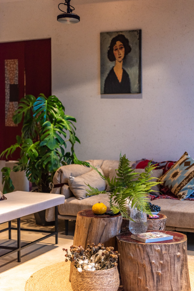 适合卧室养的花，卧室适合养什么花（卧室养4种花）