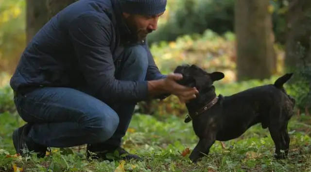 拉布拉多犬摸它哪里它会生气，拉布拉多摸她的时候老是咬我（狗喜欢主人在哪里抚摸它们）