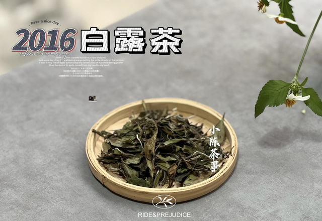 绿茶保质期一般多久，家里放了20年的绿茶、红茶、白茶