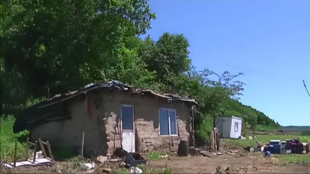 雄黄驱蛇是真的吗，驱蛇用雄黄还是硫磺（江西老人在被窝里摸到蛇）