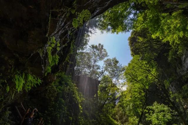 汉中旅游景点排名推荐，汉中旅游景点大全排名榜（在汉中一年四季可以这样玩 →）