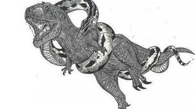 昆虫类有哪些动物，宠物种类有哪些（地球上体型最大的10种动物）