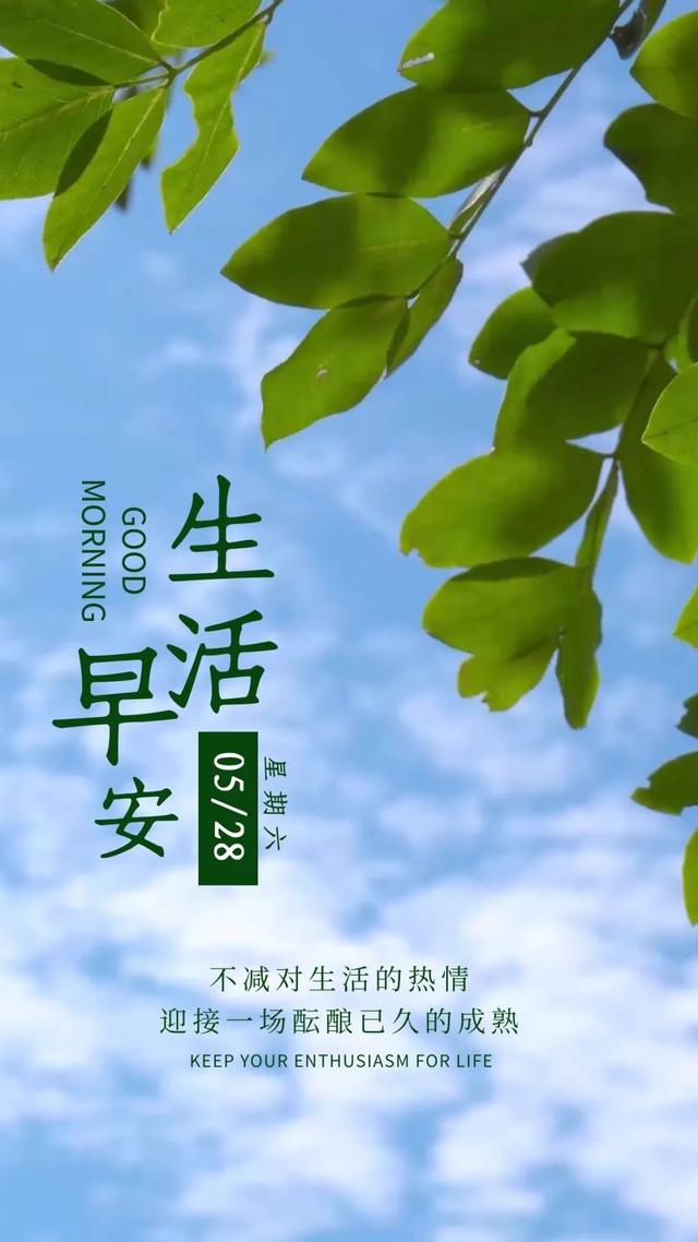 早晨充满正能量的句子，早上优美正能量句子（早上好说说语录图片）