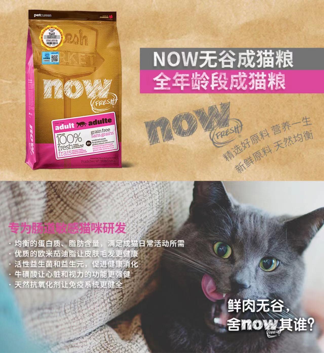 now猫粮多少钱一斤 now猫粮热量