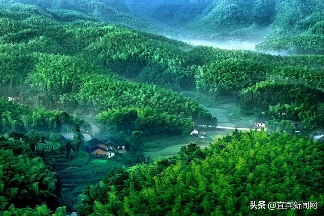 竹海生态旅游景区介绍，到绿水青山的蜀南竹海“走一遭”吧