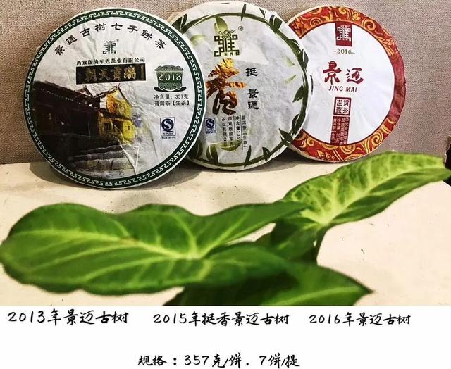 倚邦普洱茶特点，倚邦普洱茶特点口感（普洱茶的冷知识—普洱茶之最）