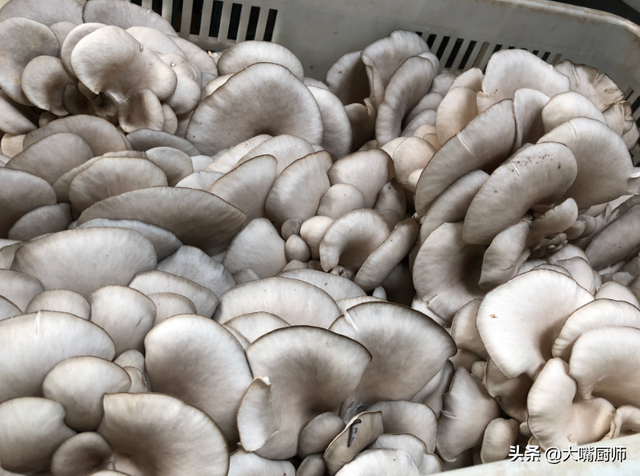 平菇买多了怎么保存，买回来的新鲜平菇怎么保存（菇农教你4个妙招）