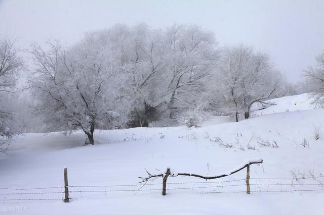 徐氏家谱大全，诏安县走马村徐氏族谱（山东徐氏字辈整理汇编）
