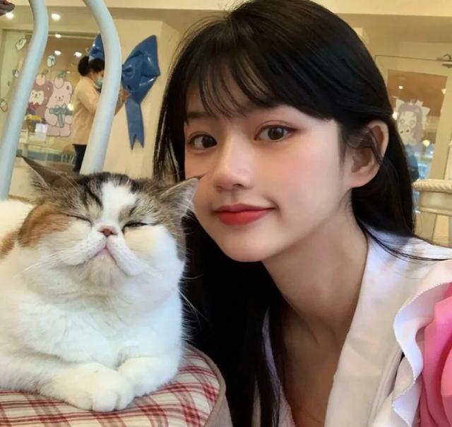 猫系女孩，微信头像，猫系女孩（女生头像：抱猫头像）