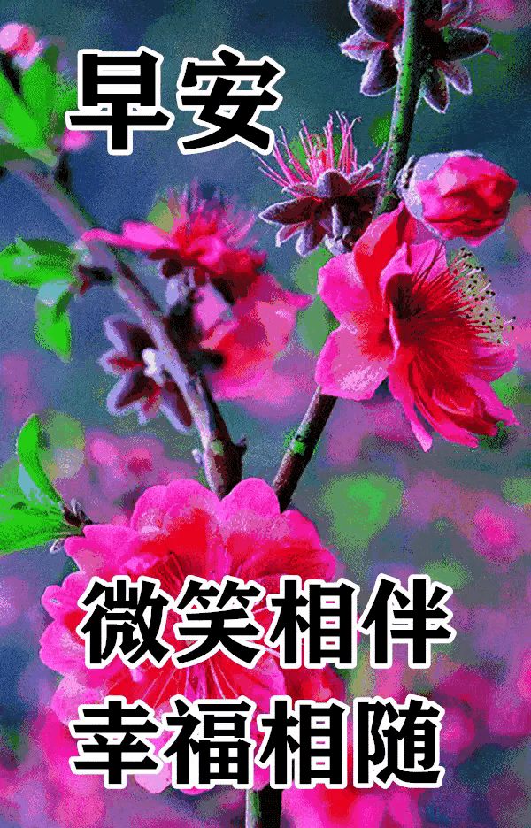03年属什么生肖，03年属什么（2023年04月03日）