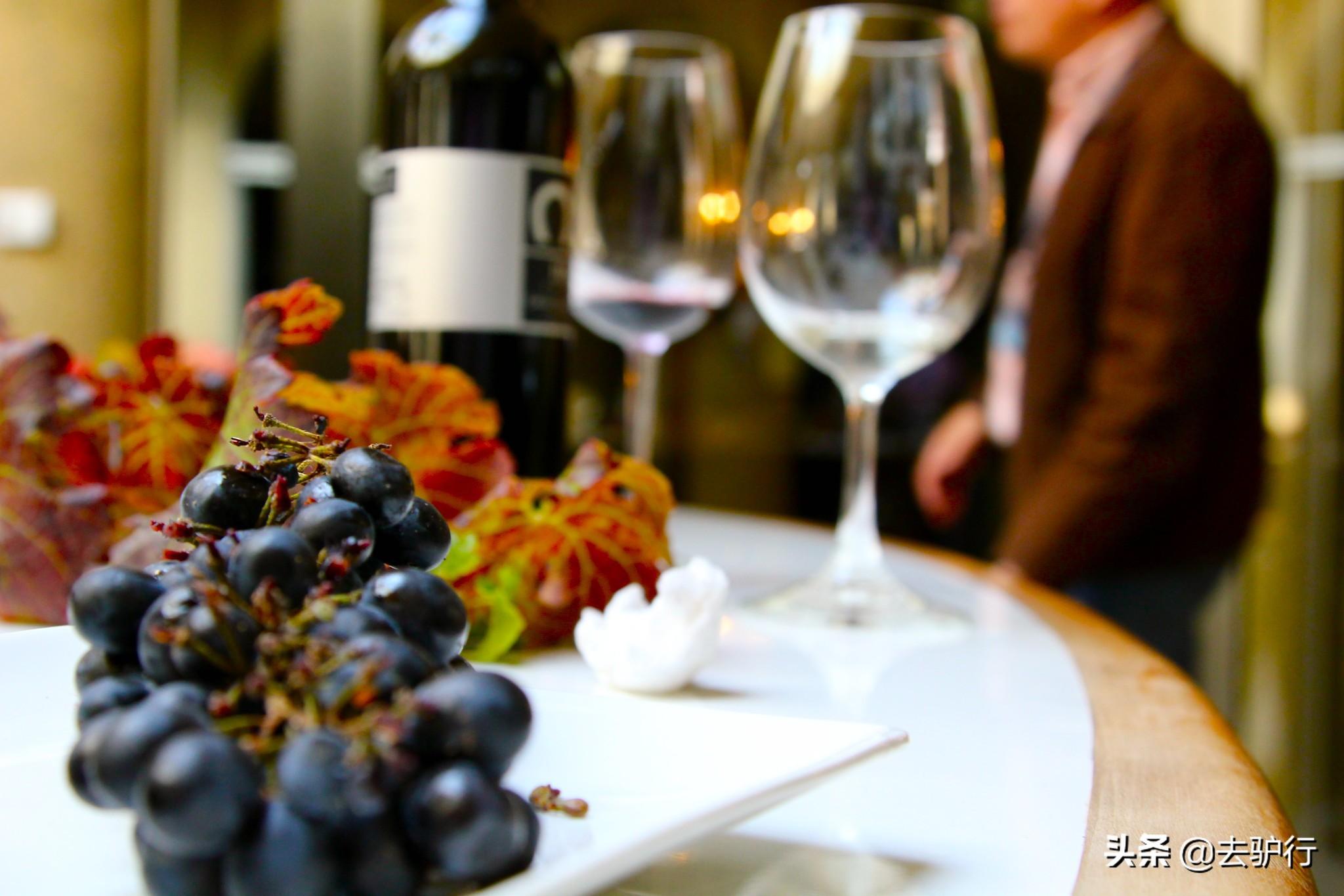 智利在哪个地方，智利是什么地方（智利真是个“宝藏”国家）