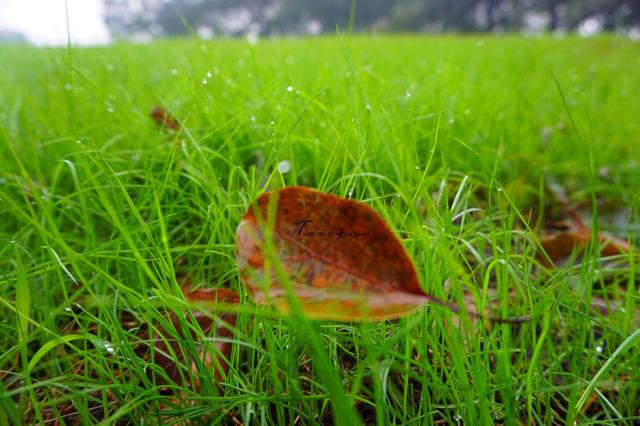 唐宋八大家是哪八位，唐宋八大家是哪八位唐代的有哪几位宋代有哪几位（“唐宋八大家”水平最高的10首诗排名）