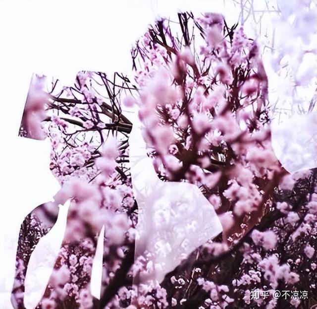 最吃香的男生十大手艺，初中生最热门的技校（男生最吃香的十大手艺）