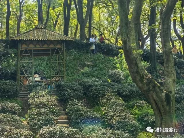 苏州山塘街攻略，苏州山塘街美食最强攻略（周末轻松苏州游）