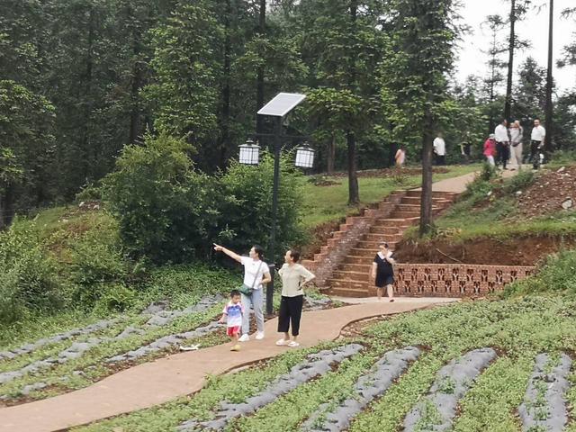 云南昭通彝良最好的地方，彝良“云中苗寨”