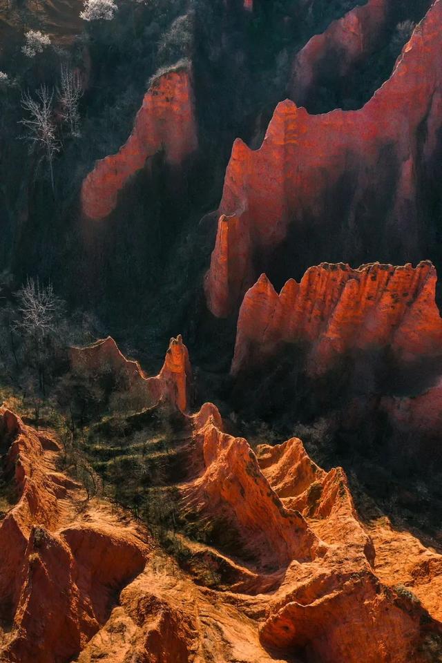 中国四大火炉，2020中国四大火炉（中国四大火炉城市）