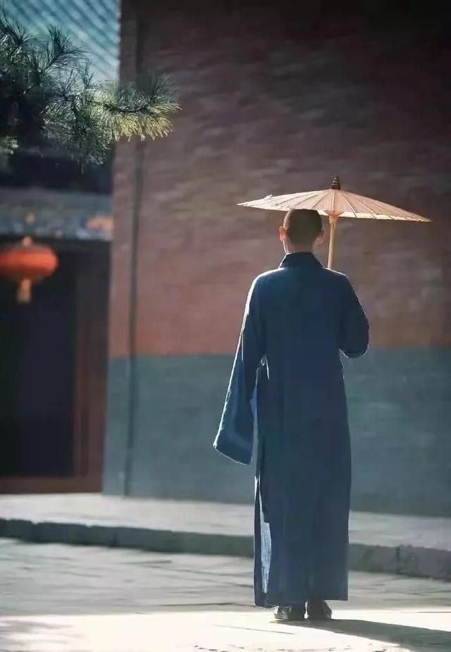 一花一草一世界，一花一草一世界 唯美句子（一花一草一世界）