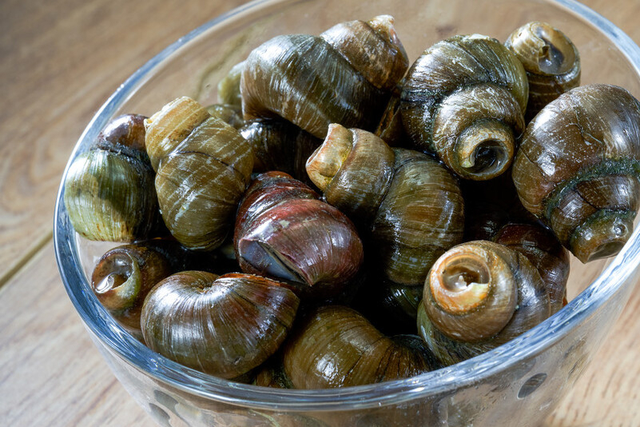 田螺肉怎么炒好吃，田螺煲怎么做好吃（偷偷多加1味料）