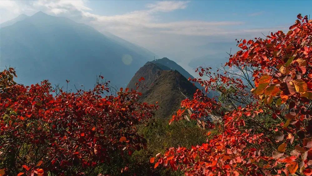 实用型巫山攻略游记，巫山一日游（绝美红叶大片和出游攻略请查收）