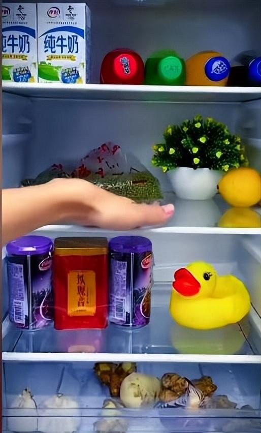 冰箱冷藏室排水孔堵塞怎么疏通（冰箱排水孔堵塞处理技巧）