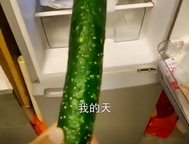黄瓜冻了还能吃吗，黄瓜冻了还能吃么（天津一女子想吃冰镇黄瓜起先冻太硬）