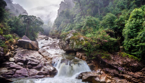 广东十座海拔最高的山，为什么都说广东人游广东先游广东第一峰