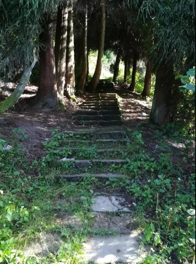 天台山旅游攻略，天台山旅游攻略大全（享受当下冬日的清闲与暖意）