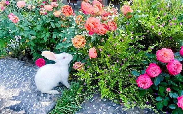 西安民宿前十名，10家最赞民宿（这些高颜值民宿）