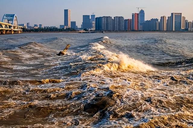 浮石属于哪种岩石，钱塘江闸口有人捡到白色浮石（浮石属于什么岩）