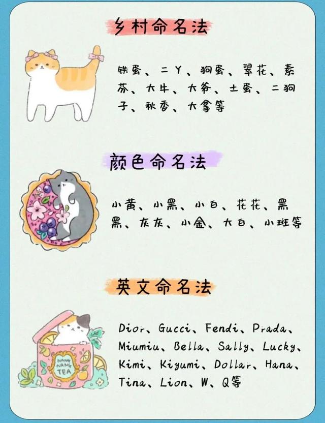 怎样给宠物起好听的名字，怎样给宠物起好听的名字大全（12种方式好听到不行）