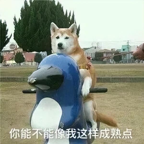 逗人开心的图片，高级文案幽默笑死人（一期看完就会开心的图片）