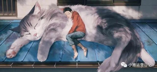 简单而走心的图片，简短走心的文字背景图 背景图‖我只是想追上曾经那个被寄予厚望的自己（过着平凡的一生/100句写作励志素材）