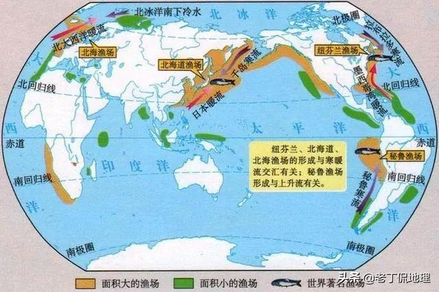 洋流对地理环境的影响，洋流对全球气候的影响（洋流对地理环境的影响教学设计）