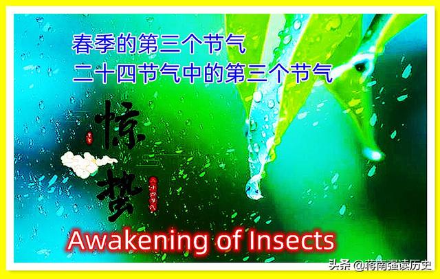 黄鹂是啥季节的鸟，黄鹂是啥季节的鸟类（艳异照亮了浓密——像是春光）