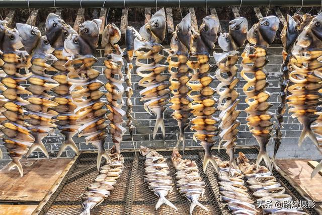 yangjiang，杨绛语录经典语录（广东“深藏不露”的宜居城市）