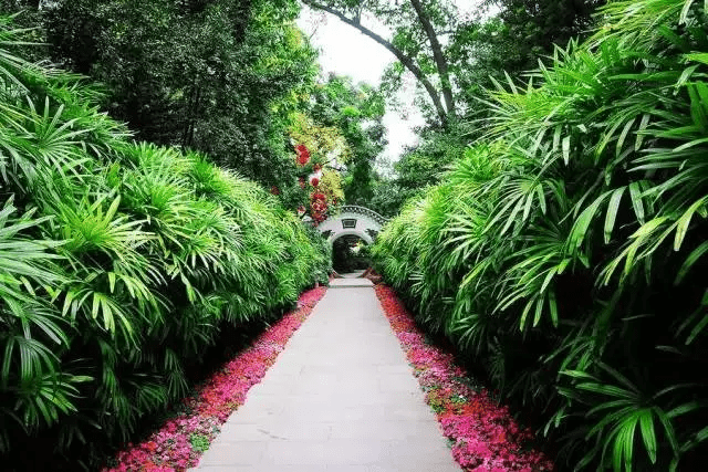 广州景点排行榜前十名，广州旅游景点排名前十（广州十大冷门景点）