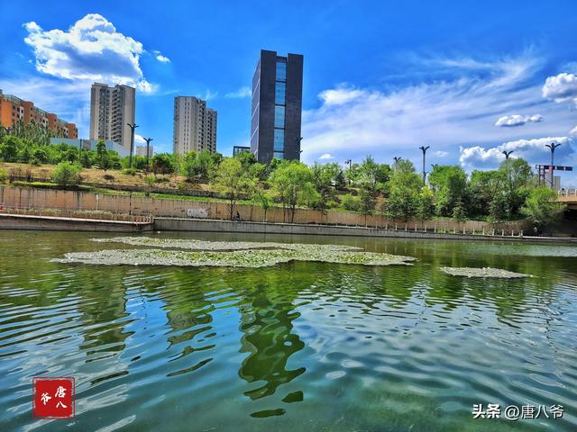 夏天有什么景色，夏天有哪些景色的描写（夏天的美景）