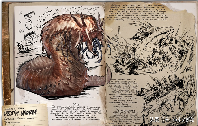 能虫是什么样子的（戈壁沙漠的传说）