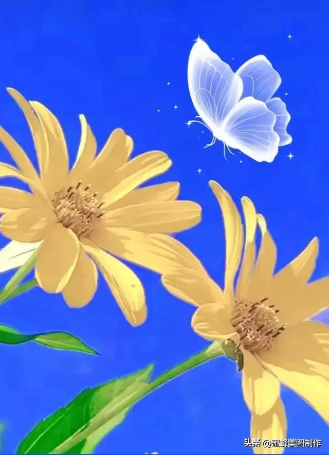 七夕节的图片，七夕浪漫情人节，玫瑰壁纸（七夕节的图片）