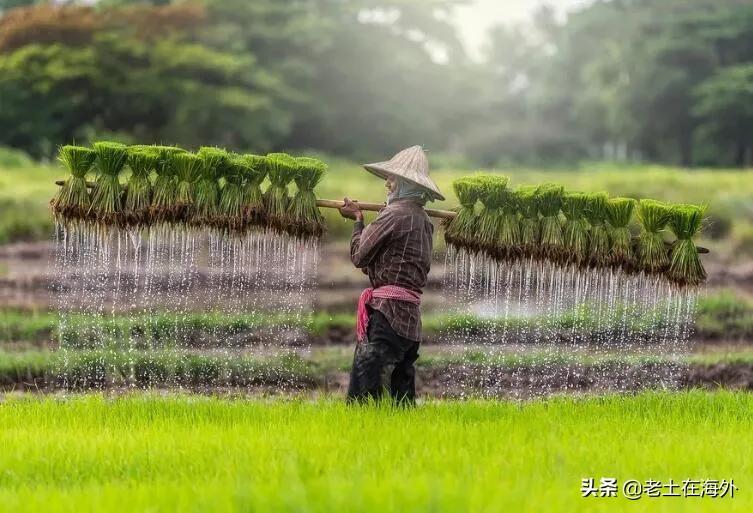 柬埔寨的人口和面积，柬埔寨是一个什么样的国家