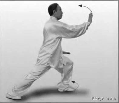 杨式太极拳野马分鬃图解，四十二式太极拳野马分鬃详解（24式太极拳图解说明和要点）