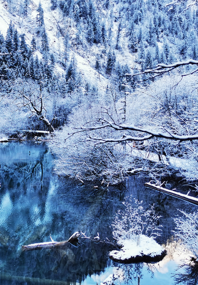 峨眉山门票多少钱一张，峨眉山门票多少钱一张要身份证吗（四川全省各大景区的门票降价啦）