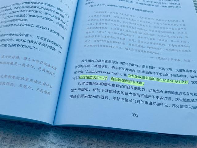 昆虫记内容简介，昆虫记内容简介50字（《昆虫记》是孩子必读书）