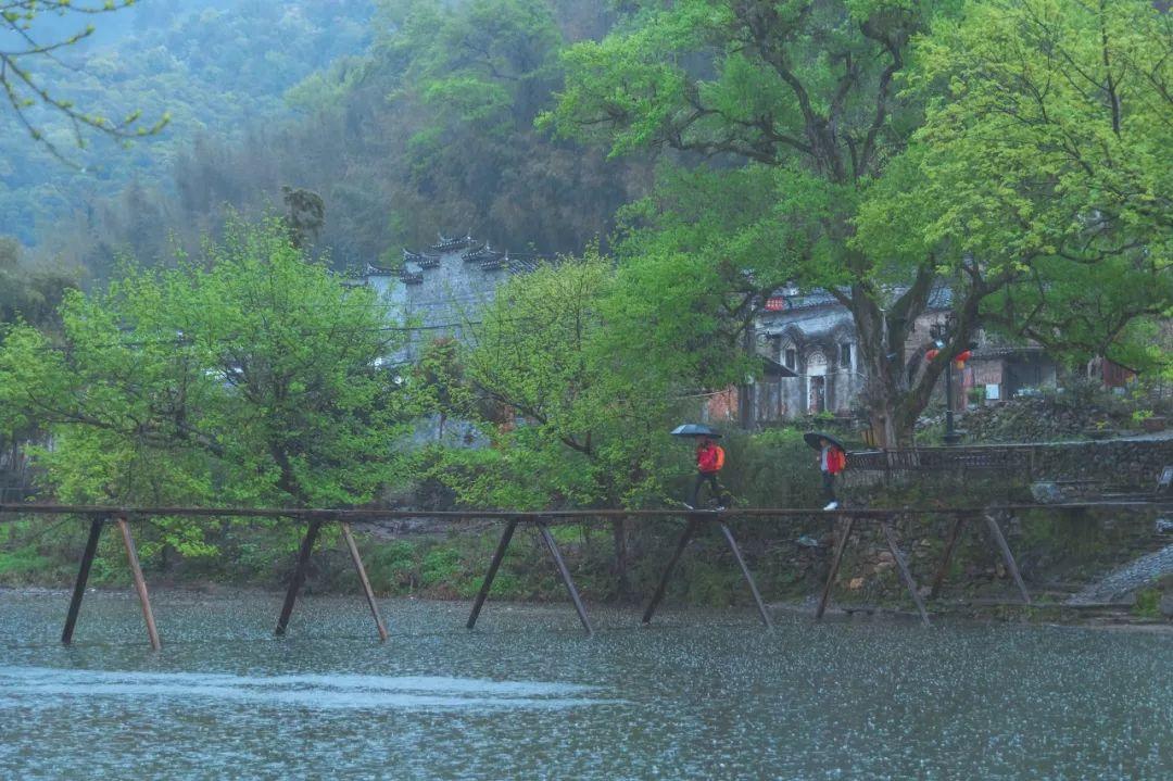 桃花源水上人家（寻一处静谧古镇小住几日）